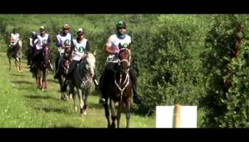 Blupura sponsor of Marche Endurance Lifestyle 2014